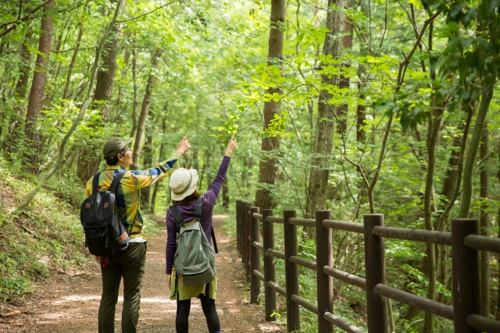 都心生活でのストレスからの解放！デュアルライフ最大の魅力とは？