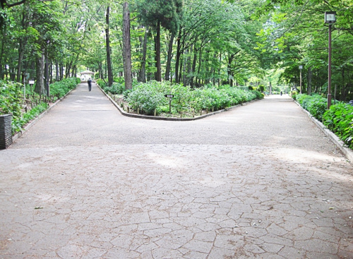 デュアルライフの実現！第二の拠点はどう選ぶ？