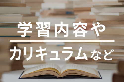 学習内容やカリキュラムなど