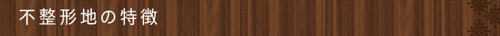 不整形地の特徴