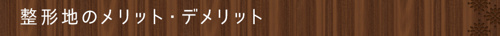 整形地のメリット・デメリット