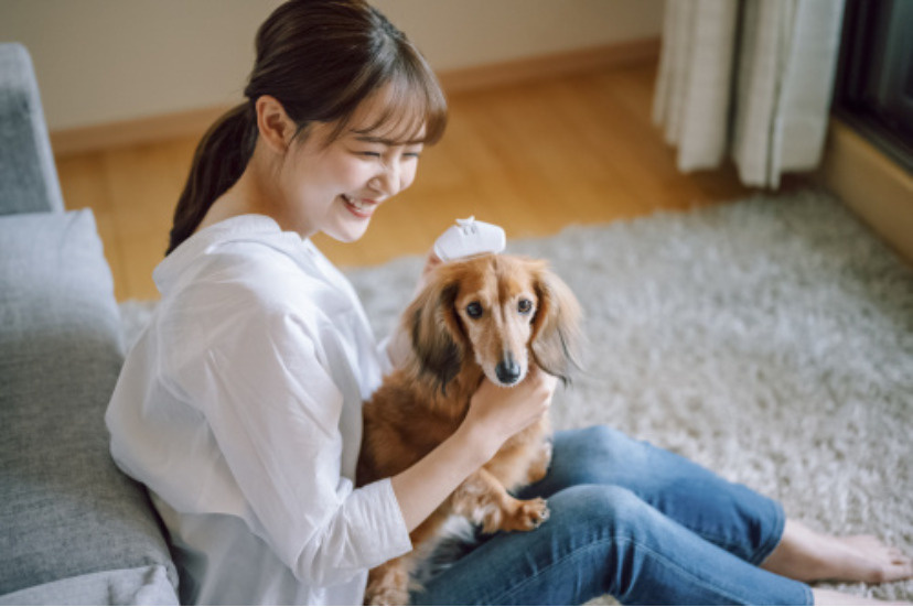 ペット可賃貸で愛犬と楽しそうに過ごしている女性