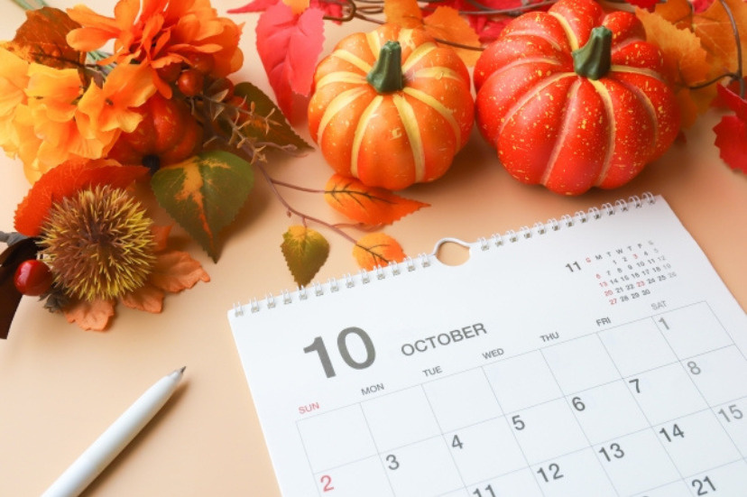 新築物件が一番多い10月