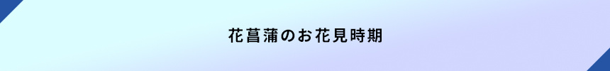＜花菖蒲のお花見時期＞