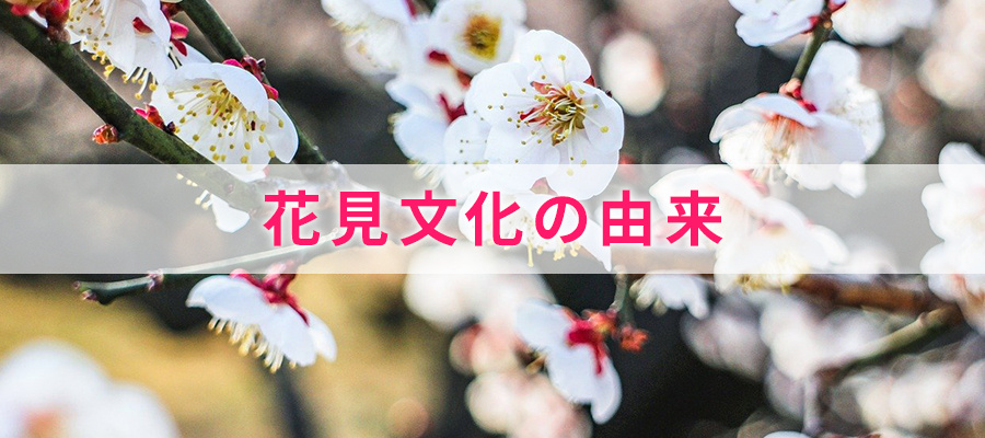 花見文化の由来