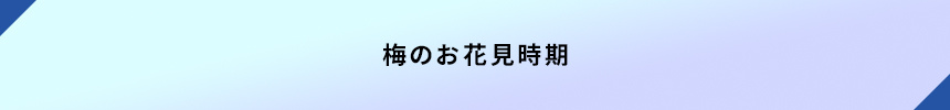 ＜梅のお花見時期＞