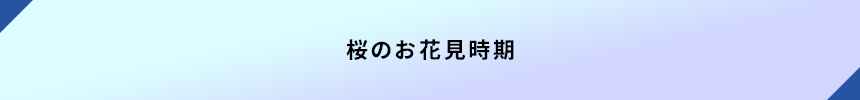 ＜桜のお花見時期＞