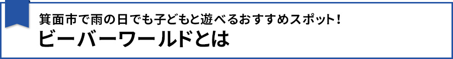 【箕面市で雨の日でも子どもと遊べるおすすめスポット！ビーバーワールドとは】