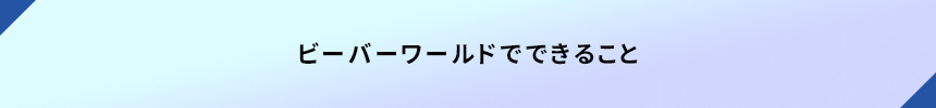 ＜ビーバーワールドでできること＞