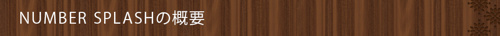 <NUMBER SPLASHの概要>