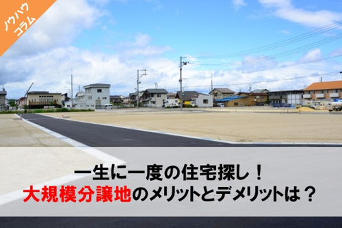 大規模分譲地