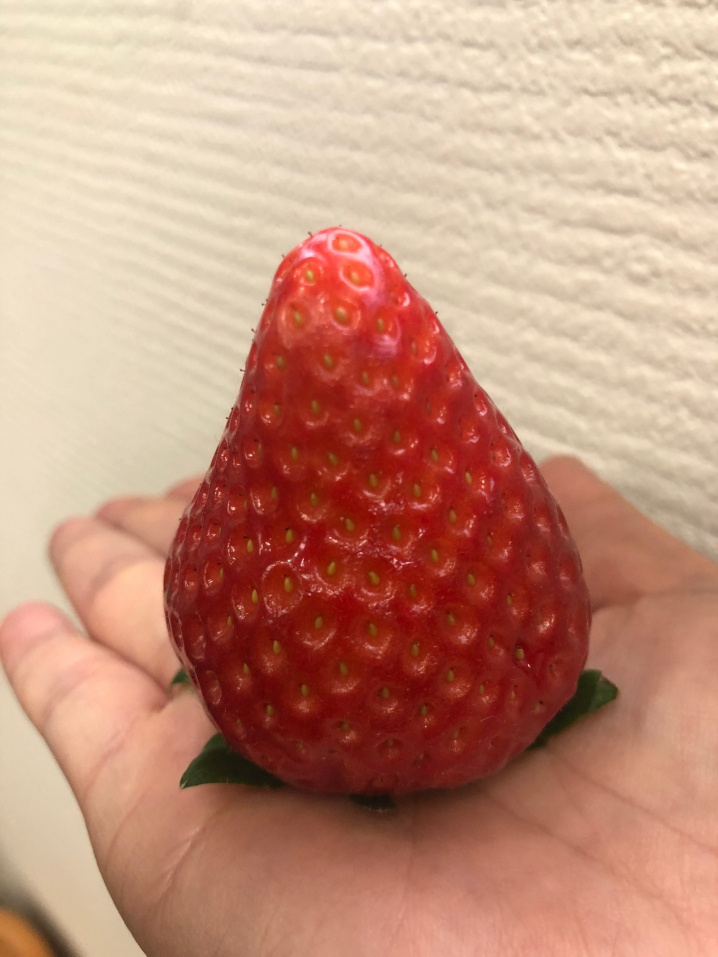 澳原農園さんのいちご