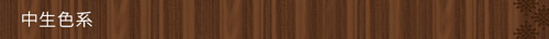中生色系