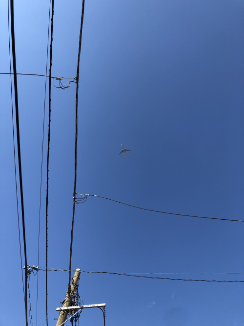 板橋区上空を飛行する飛行機