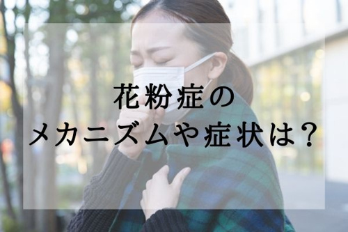 花粉症のメカニズムや症状は？