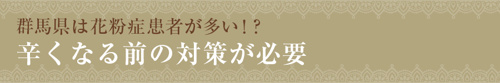 群馬県は花粉症患者が多い！？辛くなる前の対策が必要