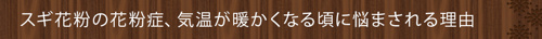 スギ花粉の花粉症、気温が暖かくなる頃に悩まされる理由