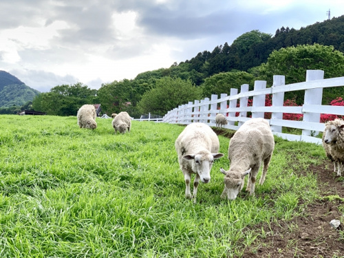 六甲山Q・B・Bチーズ館