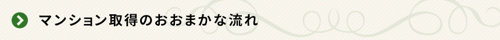 <マンション取得のおおまかな流れ>
