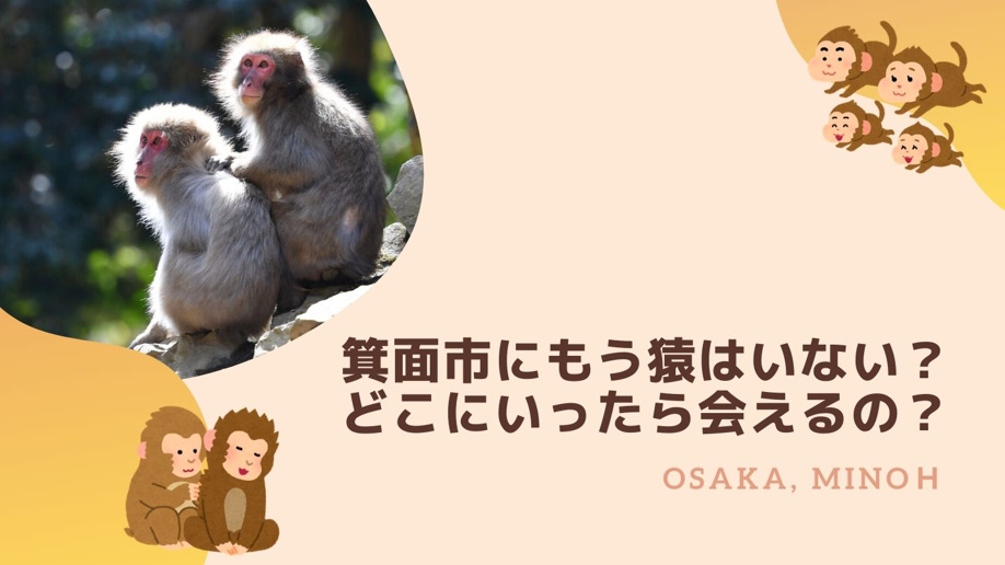 箕面市にもう猿はいない？ どこにいったら会えるの？｜枚方市の不動産