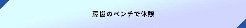 ＜藤棚のベンチで休憩＞