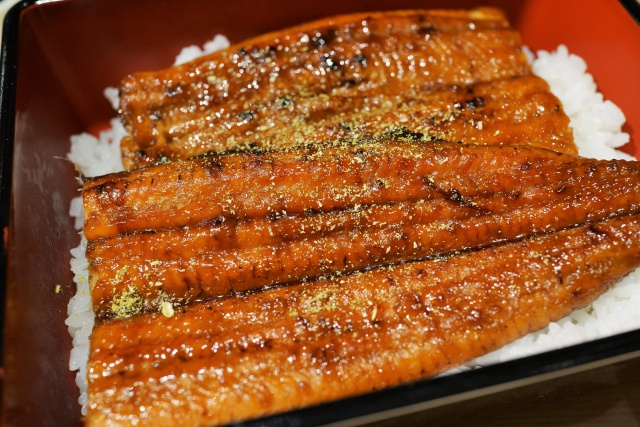 荒川区で味わえる絶品料理！おすすめランチスポット2選をご紹介