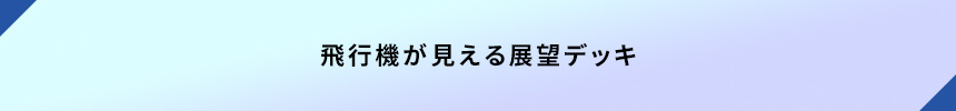 ＜飛行機が見える展望デッキ＞