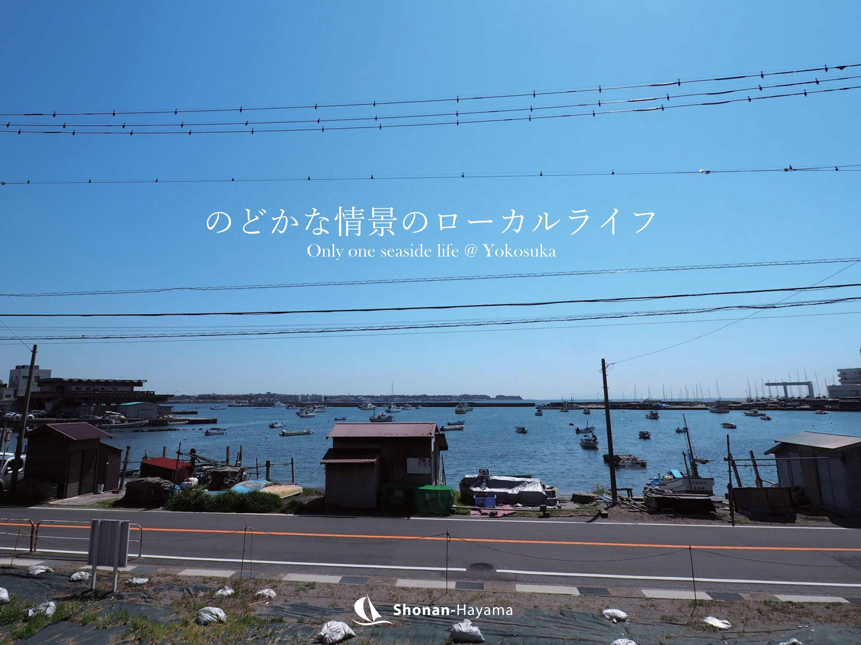 [成約済] のどかな情景のローカルライフ＜横須賀の不動産＞の画像