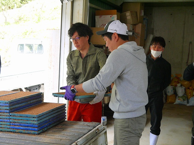 苗床をトラックへ積む