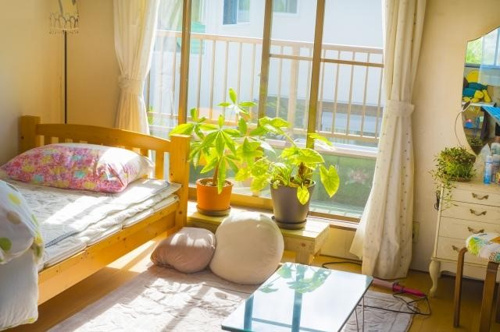 室内のベランダ側の窓に観葉植物が２つ飾られている写真