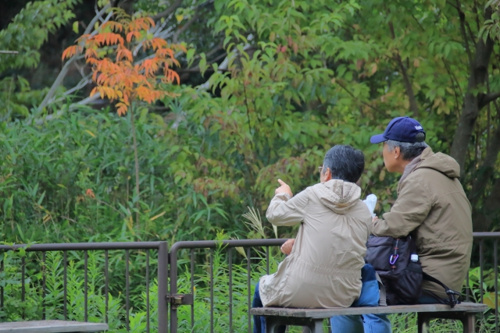 自然に恵まれた「和泉市」登山におすすめのハイキングコースを楽しもう！