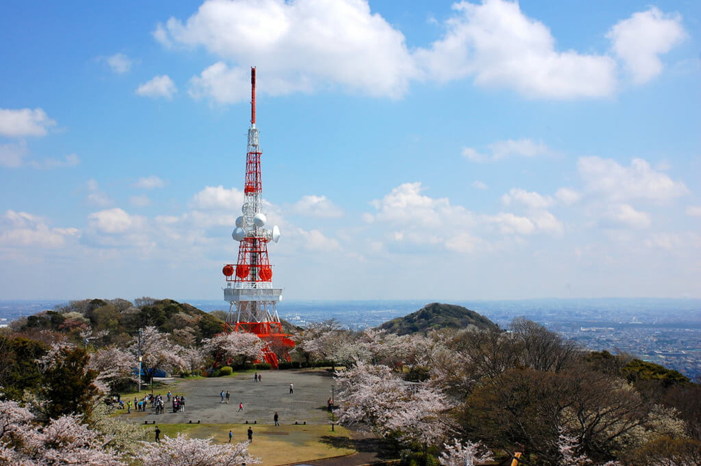 住むならここ！神奈川県平塚市は住みやすさを感じられる街ですの画像