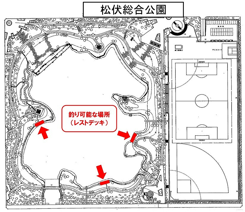 6月4日:松伏総合公園でブルーギル釣りの画像