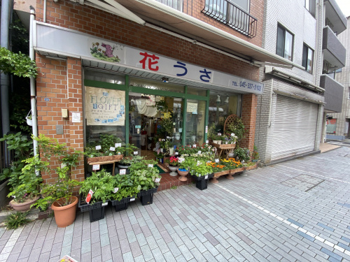 保土ヶ谷区天王町の花屋 花うさ の切花やアレンジメント 保土ヶ谷区の不動産ならコノミハウジング