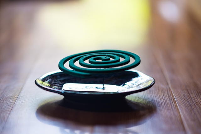 虫が苦手な方必見！賃貸物件の選び方や一人暮らしでできる対策