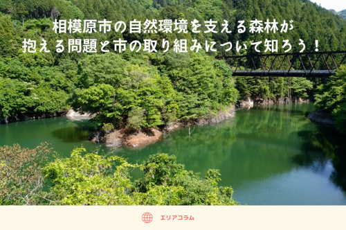 相模原市の自然環境を支える森林が抱える問題と市の取り組みについて知ろう！