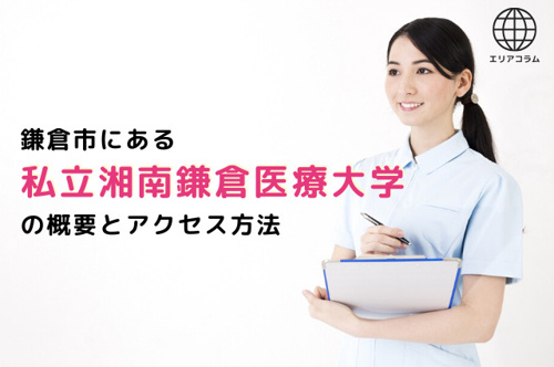 鎌倉市にある私立湘南鎌倉医療大学の概要とアクセス方法