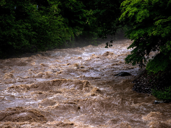 兵庫県三田市の災害特性とは 三田市に被害を及ぼす地震の想定は 三田市でファミリー向けの不動産情報 家を売る時 買う時はfreey フリー へ