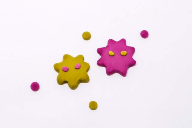 どうしてお風呂にカビが生えるの？