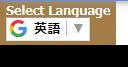 TRANSLATION /翻訳
