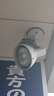 7/9 ツバメ日記 埼玉開発 日高市高麗川2丁目の画像