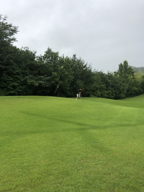 ゴルフと雨の画像