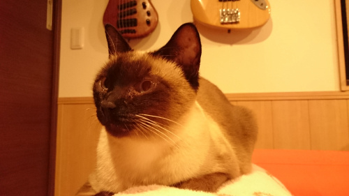 不動産投資について考える。の画像