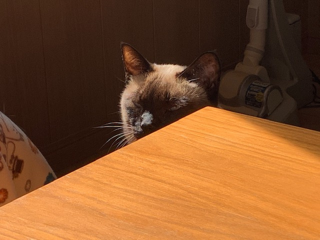 不動産投資について考える。②の画像