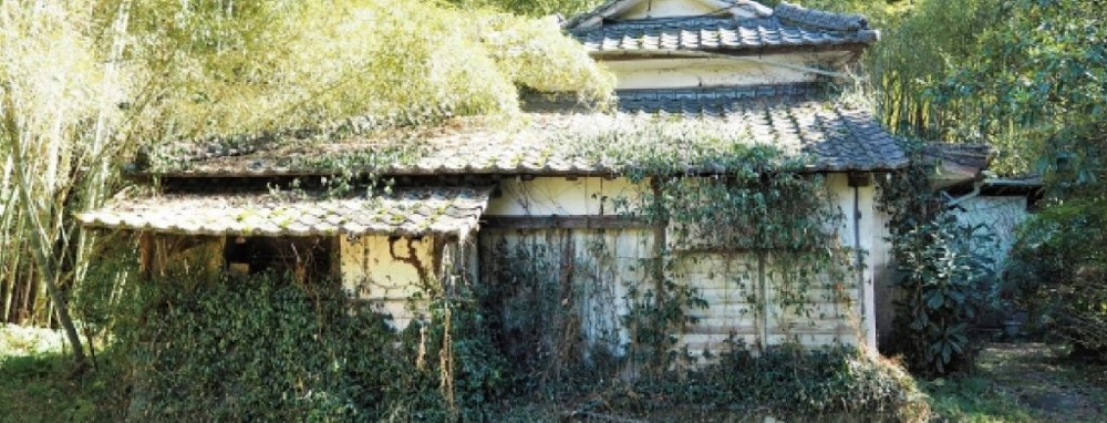 空き家運用の実態を探るの画像