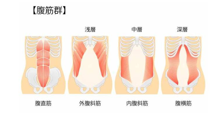 腹筋！　の画像