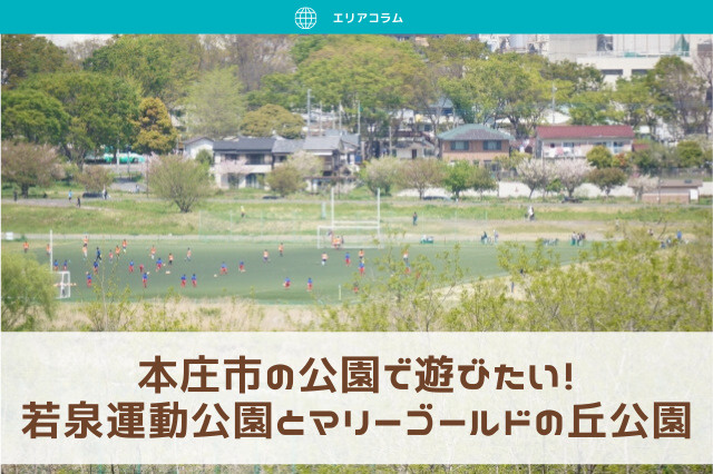 本庄市の公園で遊びたい！若泉運動公園とマリーゴールドの丘公園の画像