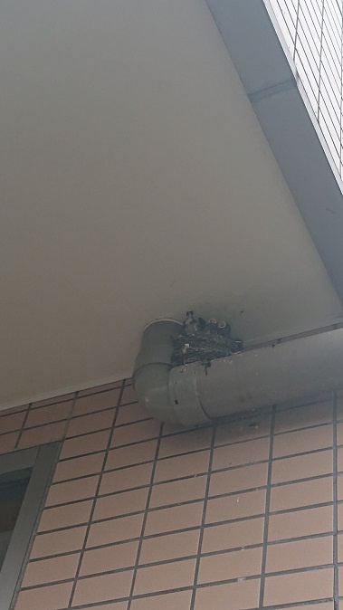 7/23 ツバメ日記 埼玉開発 日高市高麗川2丁目の画像