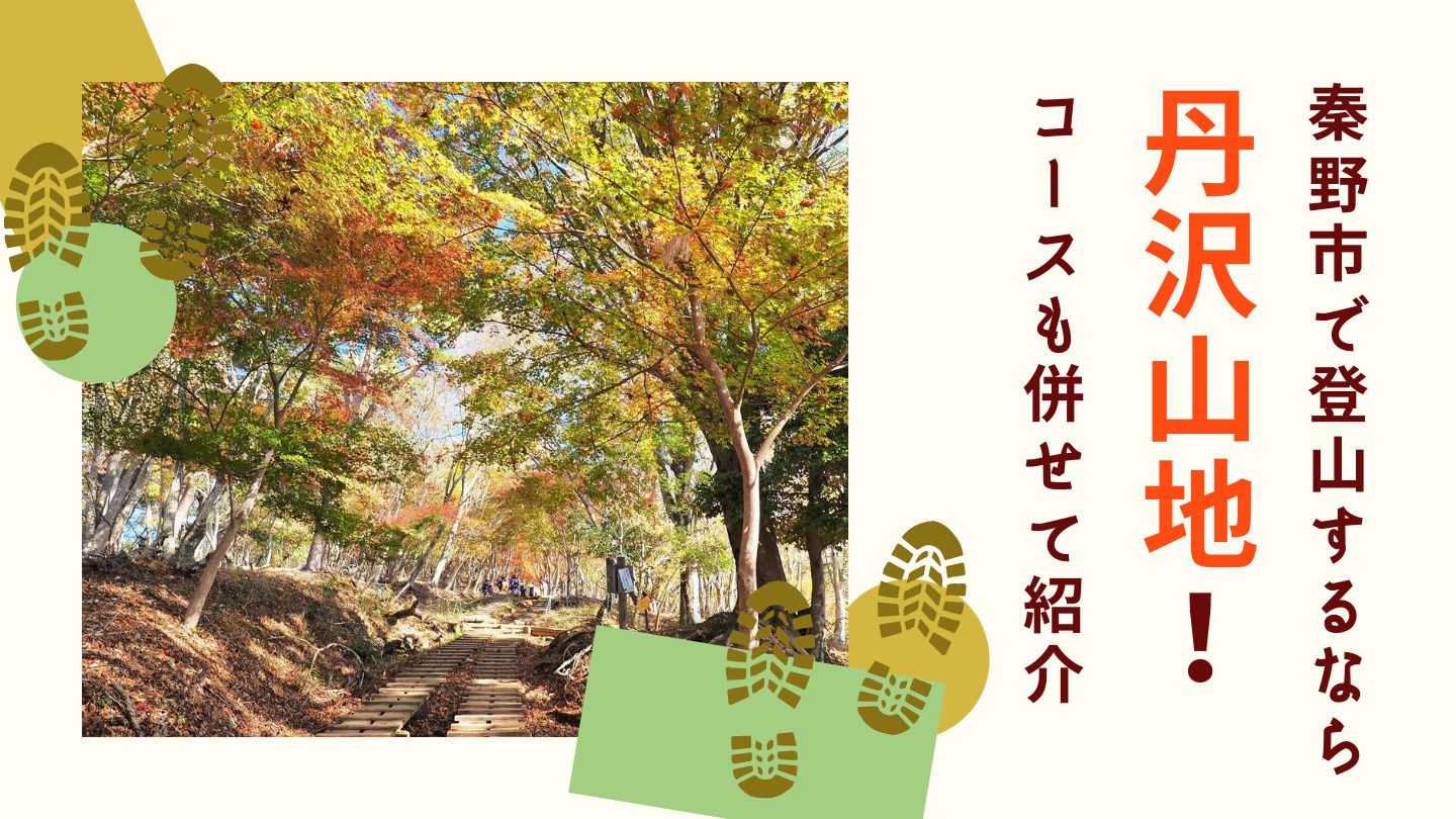 秦野市で登山するなら丹沢山地！コースも併せて紹介の画像