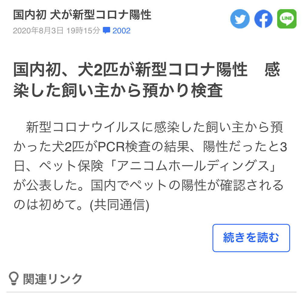 犬もコロナの画像